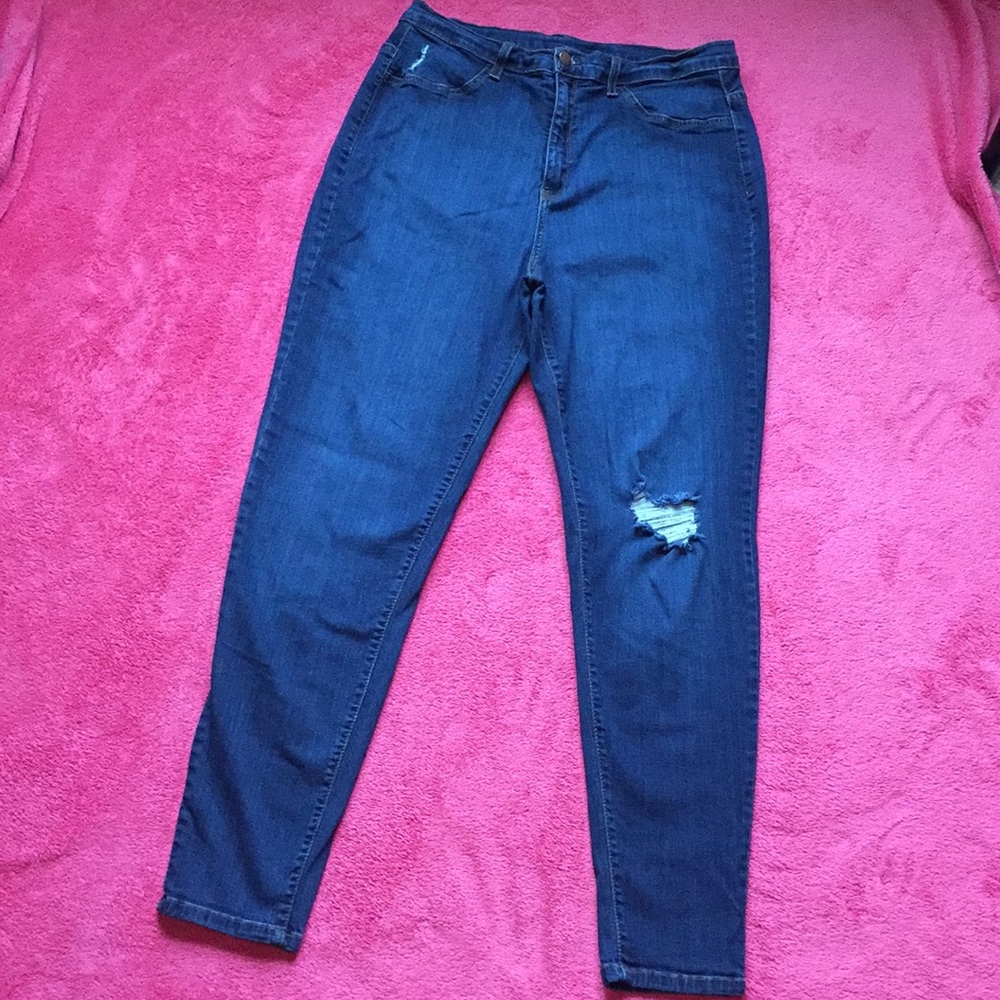 Plus Size Encore Skinny Jeans